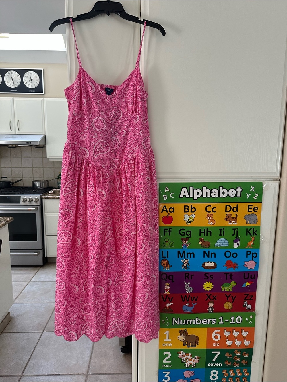 Roller Rabbit Pink Paisley Button-Front Dress